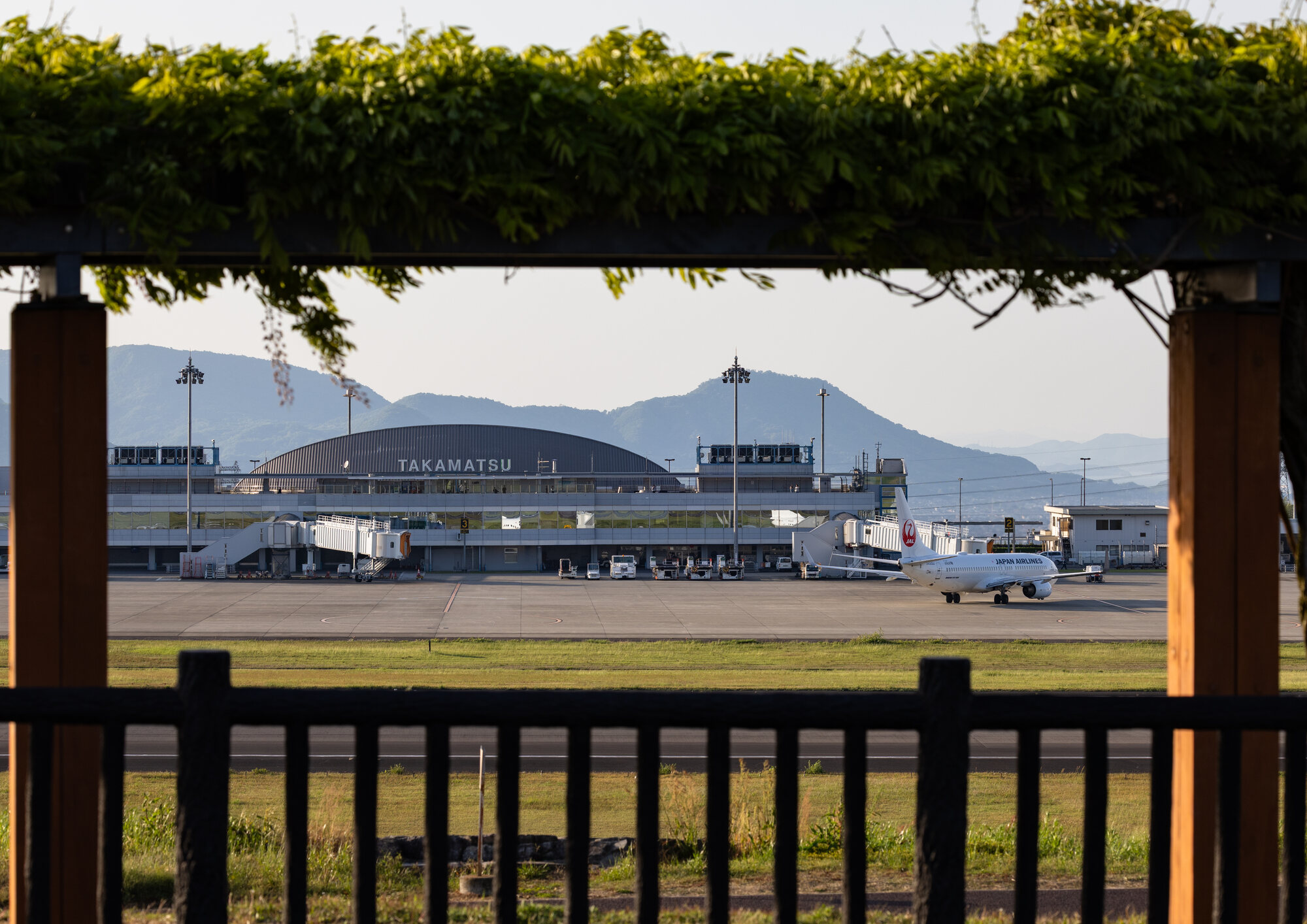 緑の向こうに見える空港ターミナルと駐機中の機体